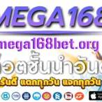 mega168 bet บทความ